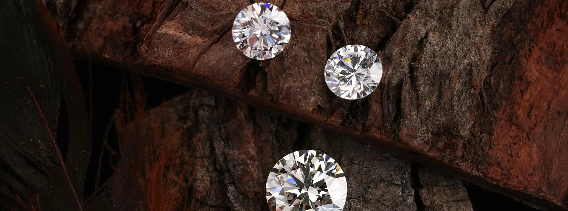 لماذا تختارنا؟